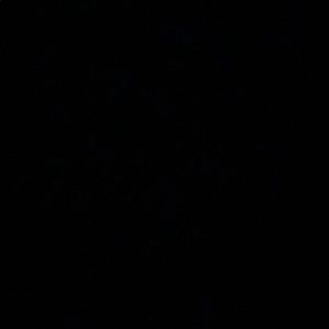 Meet your Posher, Ricardo